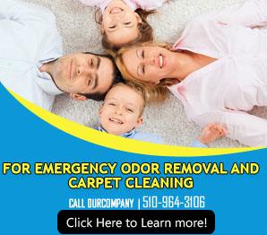 Contact Us | 510-964-3106 | Carpet Cleaning Fremont, CA
